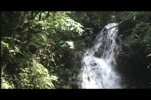 Waterfall pan down Stock Footage 606410