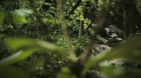 Waterfall Pan Video stock 12409775