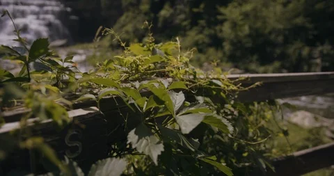 Waterfall Pan Stock Footage 119773076