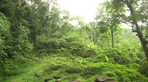 Waterfall pan in the rain forest in Bali Stock Footage 41380522