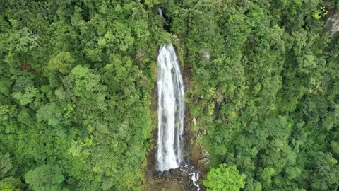Waterfall pan right to left rainforest Stock Footage 218392154