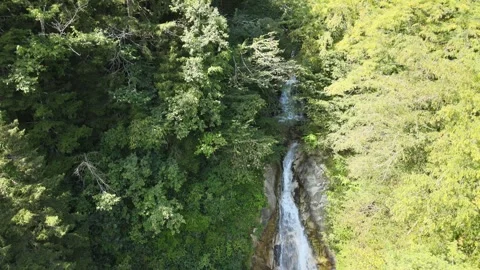 Waterfall panoramic view Video stock 240767939