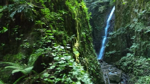 Waterfall panoramic view Stock Footage 240783015