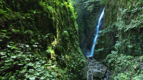 Waterfall panoramic view Stock Footage 240783479