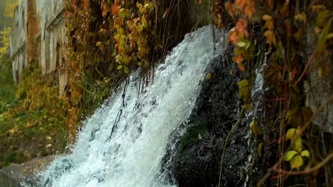 Waterfall in park Stock Footage 81644700