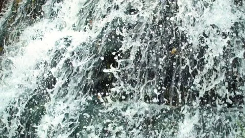 Waterfall in park Stock Footage 81644977
