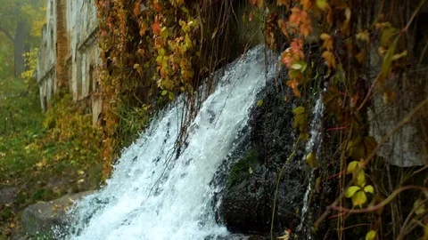 Waterfall in park Stock Footage 81645302