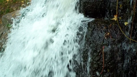 Waterfall in park Stock Footage 81645336