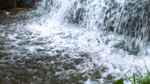 Waterfall in park Stock Footage 81645416