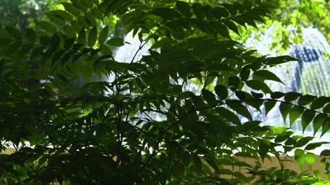 Waterfall in the park. Video stock 94128181