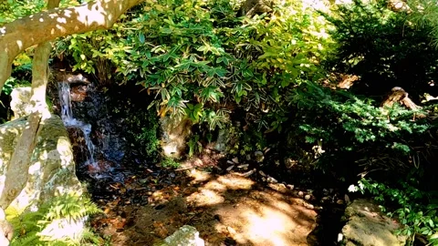Waterfall in park Stock Footage 234446281