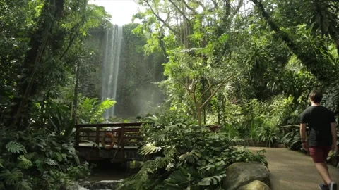 Waterfall park Stockbeeldmateriaal 266658339