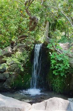 Waterfall in the park Stock Photos
