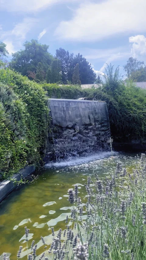 Waterfall in the park Vertical Stock Footage 314254621