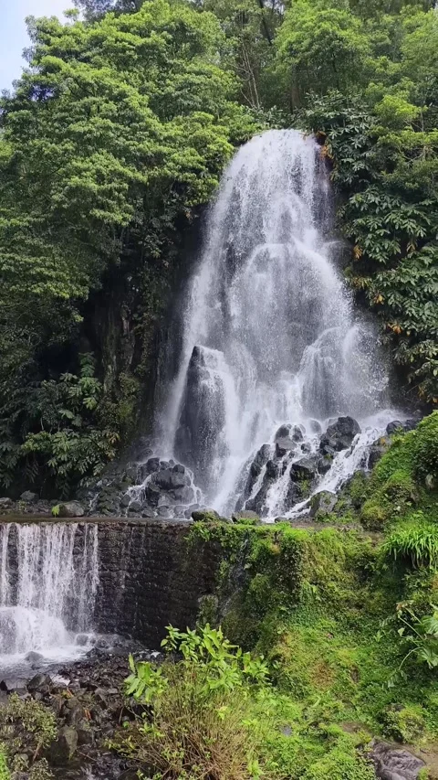 Waterfall at Parque Natural da Ribeira dos Caldeirões, Sao Miguel Video stock 269533161