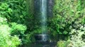 Waterfall passage in rainforest 20110429 151110 HD Footage