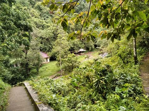 Waterfall path.  Stock Photos