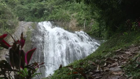 Waterfall in the Peruvian jungle Stock Footage 244376524