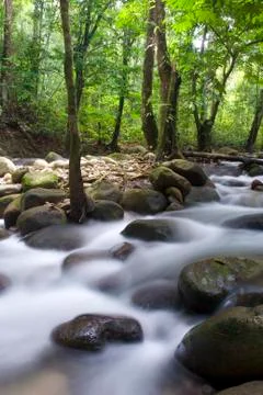 Waterfall Stock Photos