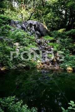 Waterfall Stock Photos