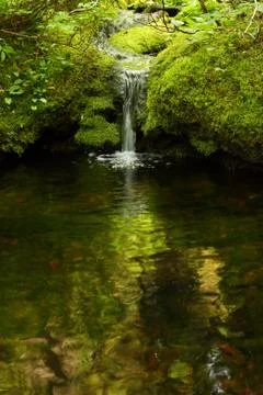 Waterfall Stock Photos