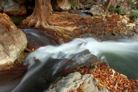 Waterfall Stock Photos