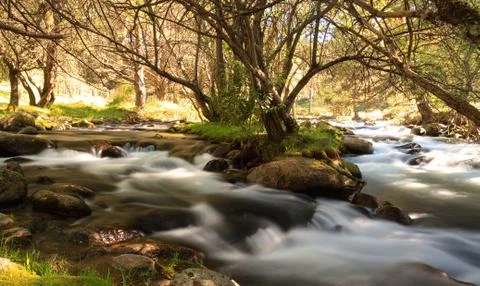 Waterfall Stock Photos