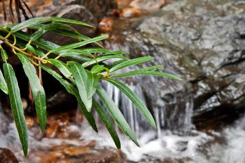 Waterfall Stock-Fotos