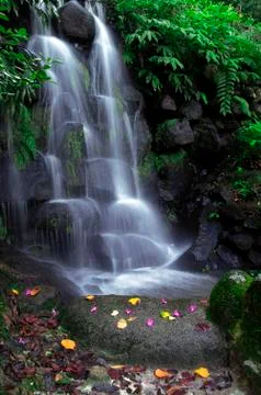 Waterfall Stock Photos