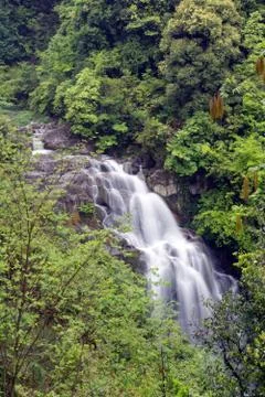 Waterfall Stock Photos