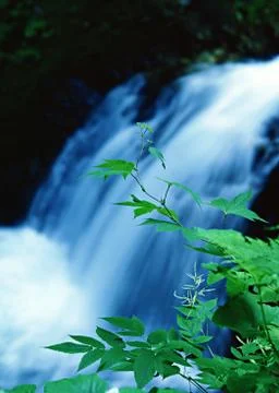 Waterfall Stock Photos