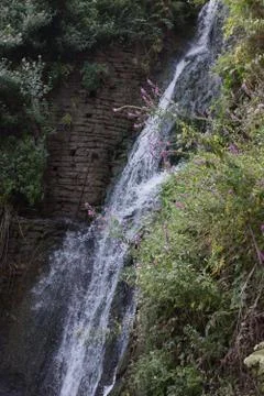 Waterfall. Stock Photos