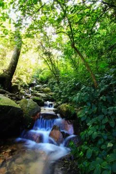 Waterfall Stock Photos