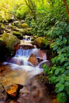 Waterfall Stock Photos