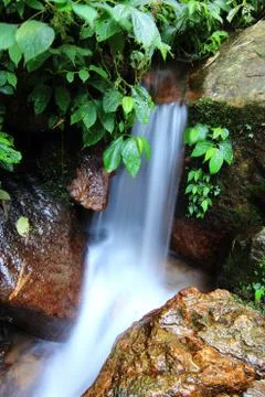 Waterfall Stock Photos