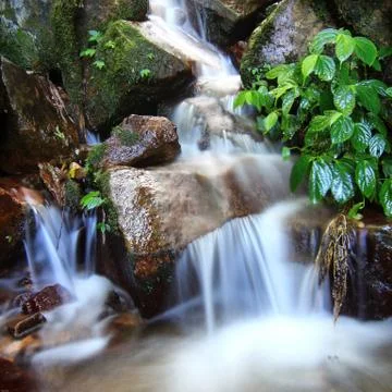 Waterfall Stock Photos