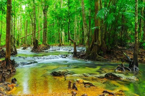 Waterfall Fotos de archivo