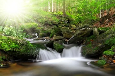 Waterfall  Stock Photos