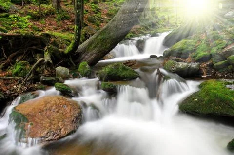 Waterfall  Stock Photos