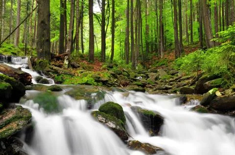 Waterfall  Stock Photos
