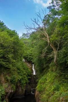 Waterfall Stock Photos