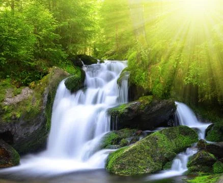 Waterfall  Stock Photos