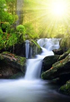 Waterfall  Stock Photos