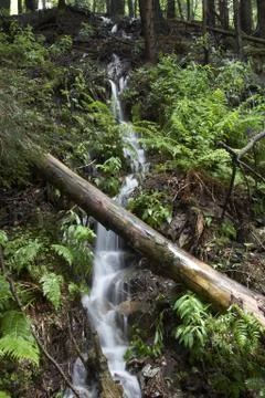 Waterfall Stock Photos