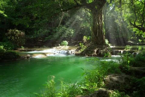 Waterfall 写真素材