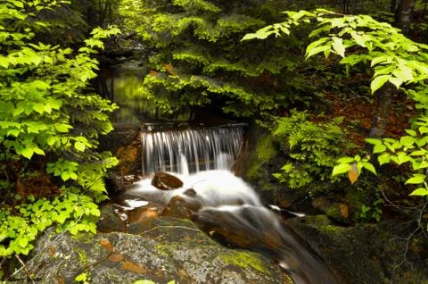 Waterfall 스톡 사진