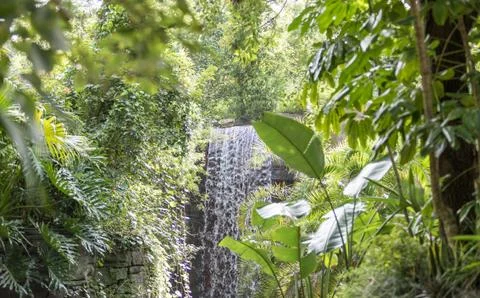 Waterfall Stock Photos