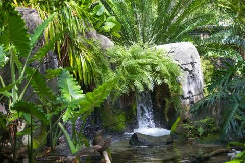 Waterfall Stock Photos