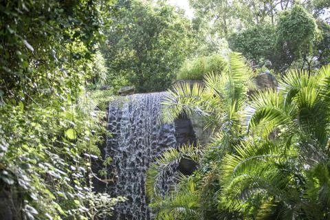 Waterfall Stock Photos