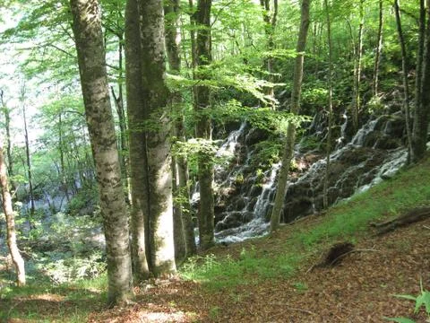 Waterfall Stock Photos